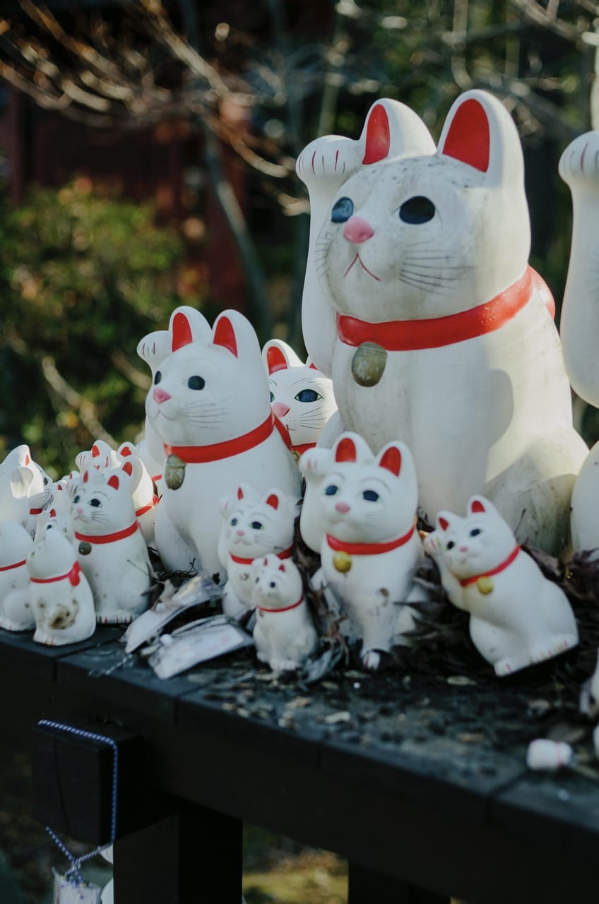 Превью Tokyo 2024